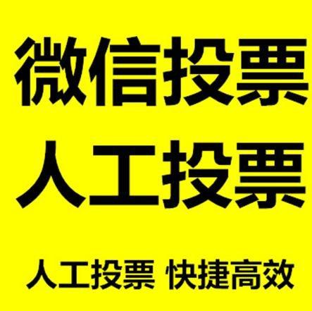 乌鲁木齐市小程序微信拉票通过什么方式操作有哪些方法操作？